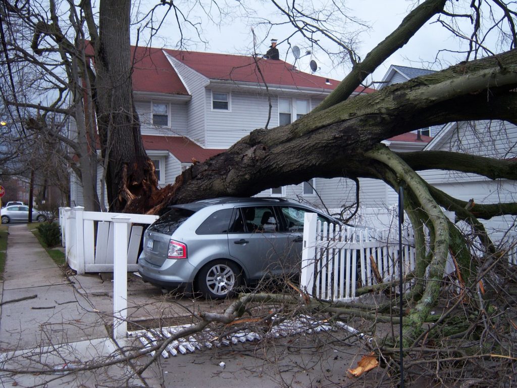 A tree in a yard has fallen over and crushed a silver car due to hurricane winds