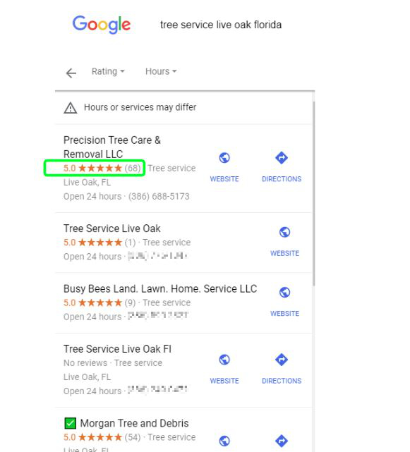 search engine results on Google showing that Precision Tree Care has 5 star reviews
