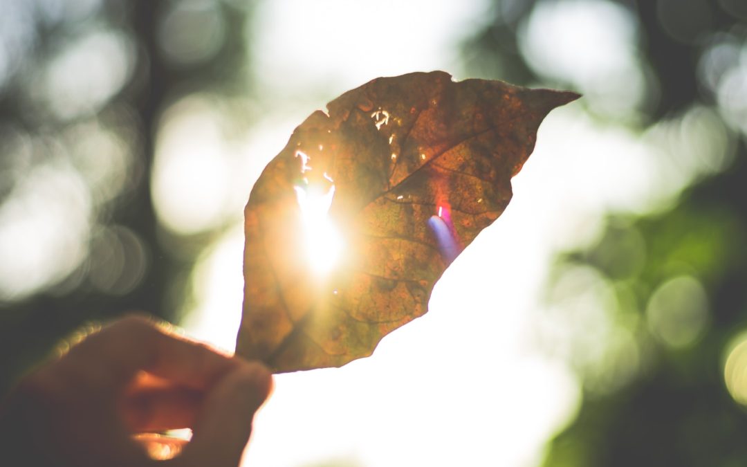 Tips for Working Safely in Extreme Heat