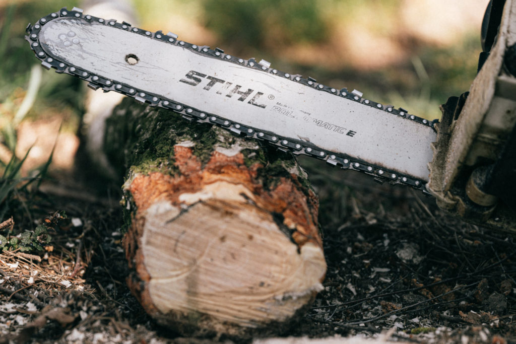 Stihl chainsaw cutting a fell tree