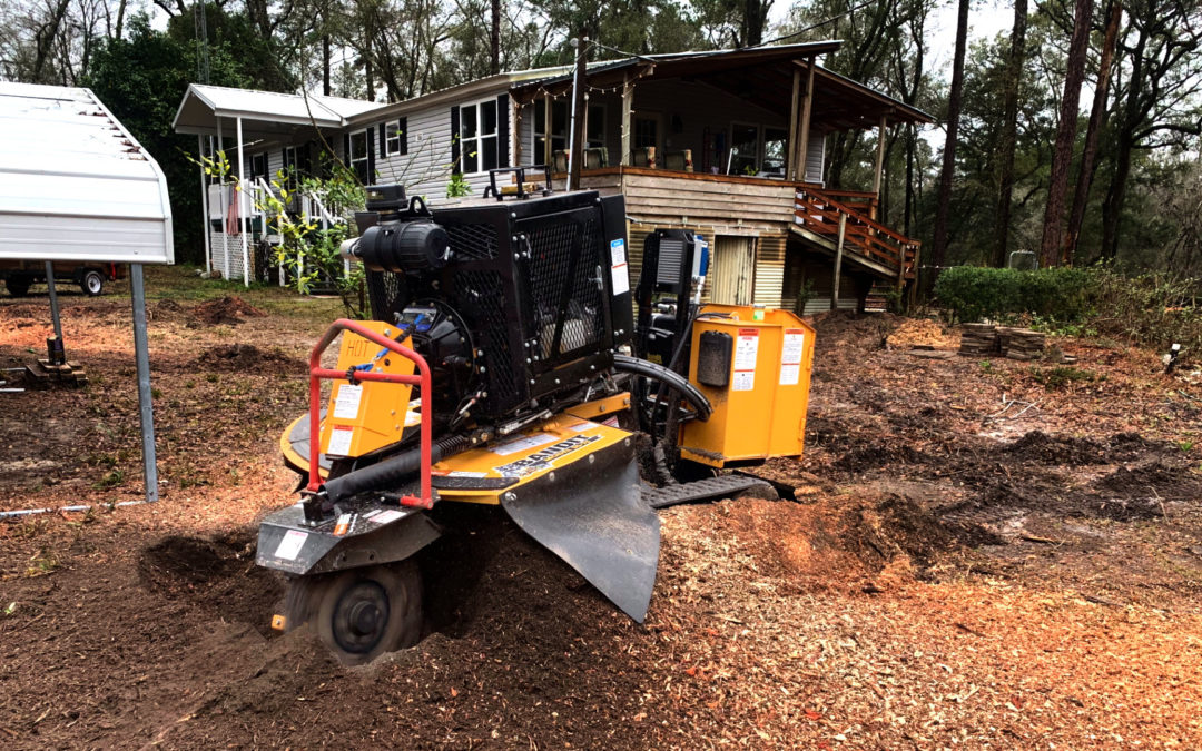 Professional Review: Bandit SG 75 Stump Grinder