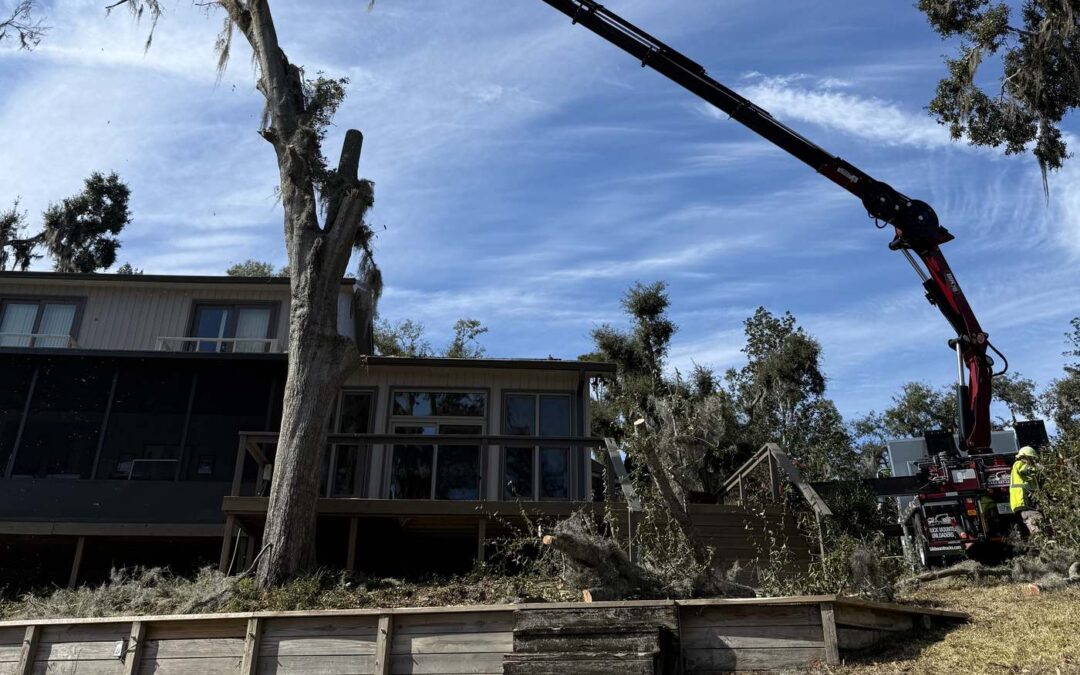 Grapple saw truck removing a dead tree in sections beside a house