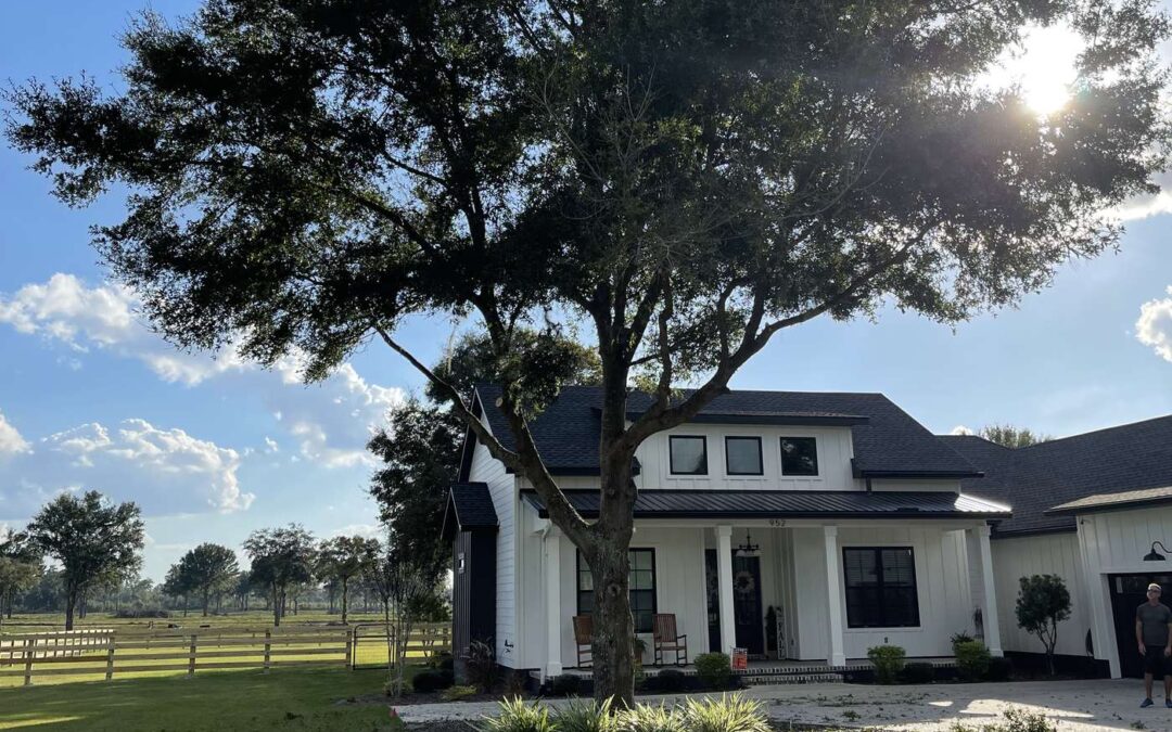 Large oak tree in front of a North Florida home, the kind of target a tree risk assessment weighs
